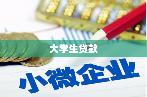 武邑大学生贷款