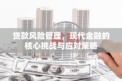武邑贷款风险管理，现代金融的核心挑战与应对策略