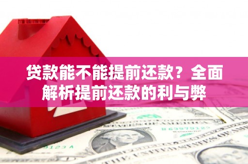 武邑贷款能不能提前还款？全面解析提前还款的利与弊
