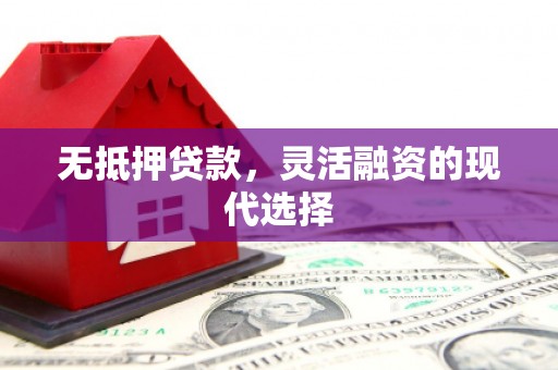 武邑无抵押贷款，灵活融资的现代选择
