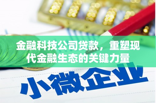 武邑金融科技公司贷款，重塑现代金融生态的关键力量