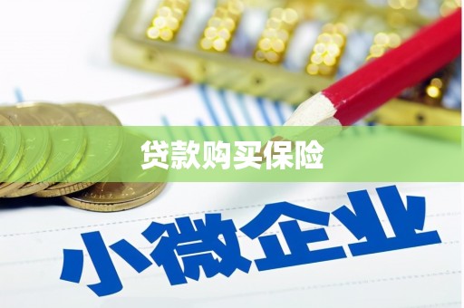 武邑贷款购买保险