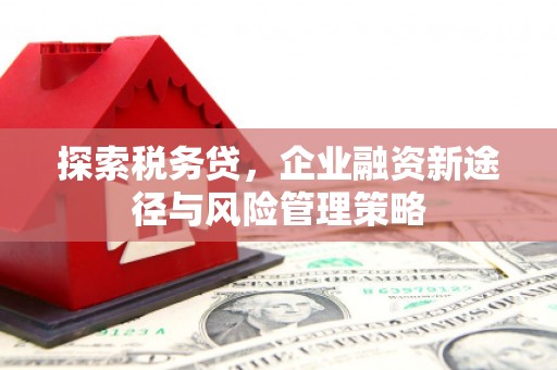 武邑探索税务贷，企业融资新途径与风险管理策略