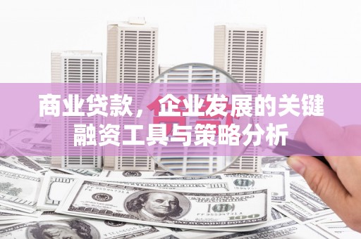 武邑商业贷款，企业发展的关键融资工具与策略分析