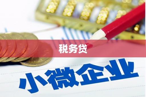 武邑税务贷