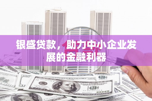武邑银盛贷款，助力中小企业发展的金融利器