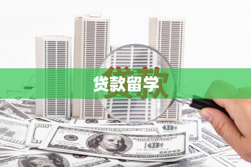 武邑贷款留学