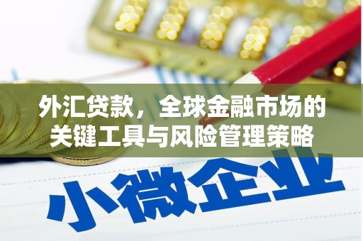 武邑外汇贷款，全球金融市场的关键工具与风险管理策略
