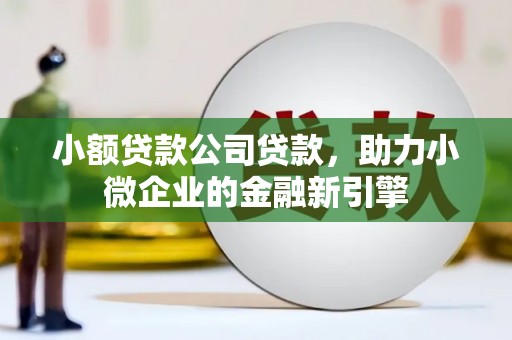 武邑小额贷款公司贷款，助力小微企业的金融新引擎