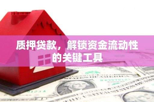 武邑质押贷款，解锁资金流动性的关键工具