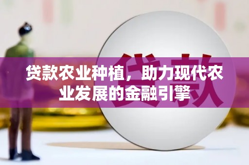 武邑贷款农业种植，助力现代农业发展的金融引擎