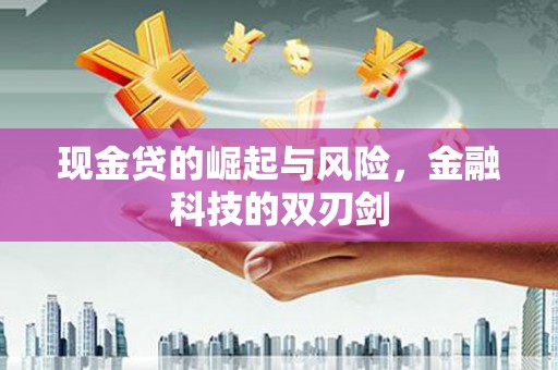 武邑现金贷的崛起与风险，金融科技的双刃剑