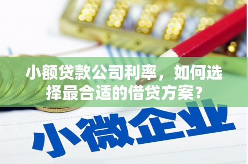 武邑小额贷款公司利率，如何选择最合适的借贷方案？