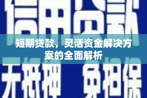 武邑短期贷款，灵活资金解决方案的全面解析