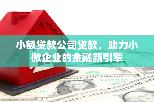 武邑小额贷款公司贷款，助力小微企业的金融新引擎