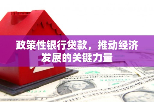 武邑政策性银行贷款，推动经济发展的关键力量