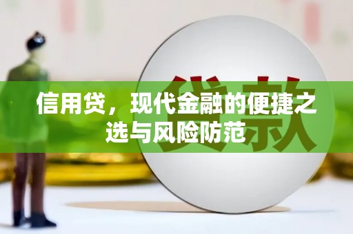 武邑信用贷，现代金融的便捷之选与风险防范