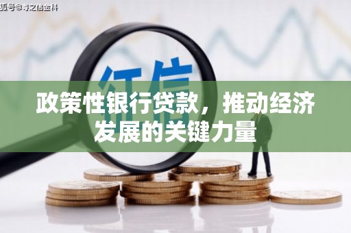 武邑政策性银行贷款，推动经济发展的关键力量
