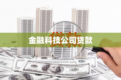 武邑金融科技公司贷款