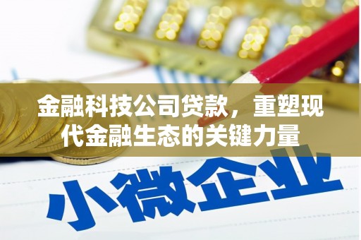 武邑金融科技公司贷款，重塑现代金融生态的关键力量