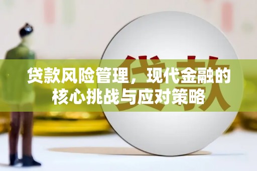 武邑贷款风险管理，现代金融的核心挑战与应对策略