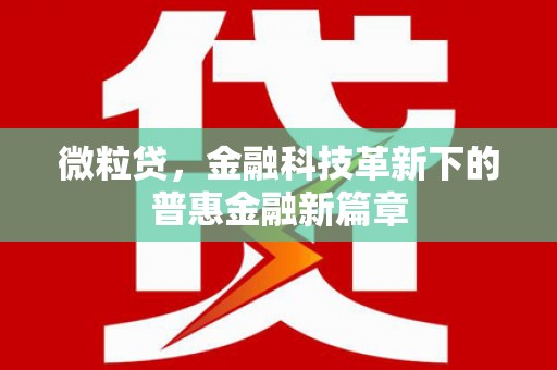 武邑微粒贷，金融科技革新下的普惠金融新篇章