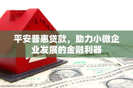 武邑平安普惠贷款，助力小微企业发展的金融利器