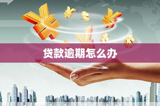 武邑贷款逾期怎么办