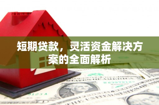 武邑短期贷款，灵活资金解决方案的全面解析
