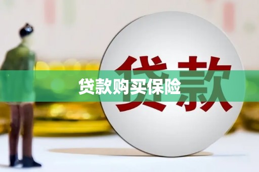 武邑贷款购买保险