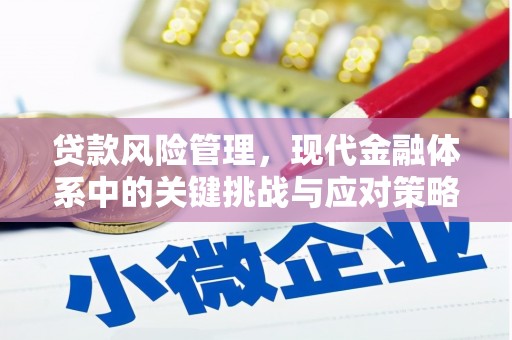 武邑贷款风险管理，现代金融体系中的关键挑战与应对策略