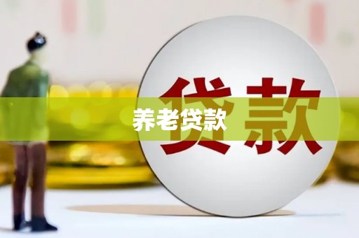 武邑养老贷款