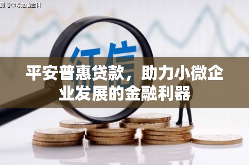 武邑平安普惠贷款，助力小微企业发展的金融利器