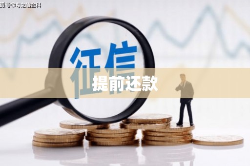 武邑提前还款