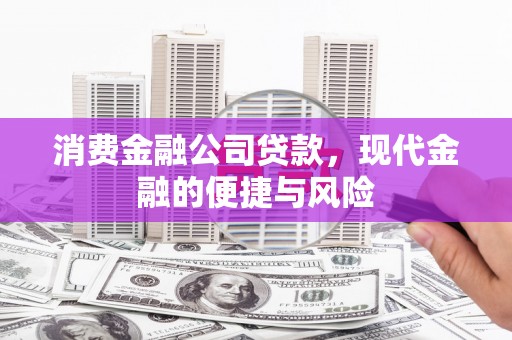 武邑消费金融公司贷款，现代金融的便捷与风险
