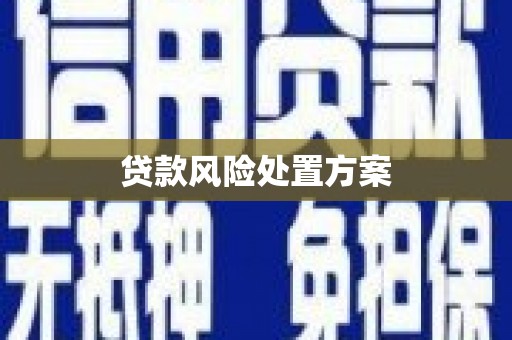 武邑贷款风险处置方案
