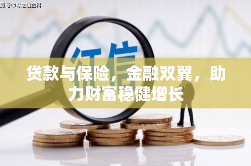 武邑贷款与保险，金融双翼，助力财富稳健增长