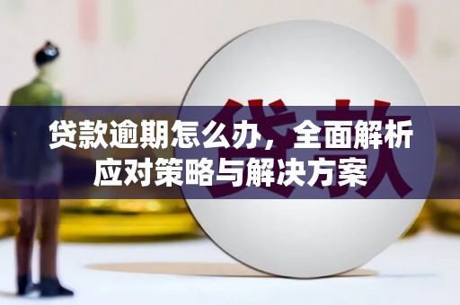 武邑贷款逾期怎么办，全面解析应对策略与解决方案