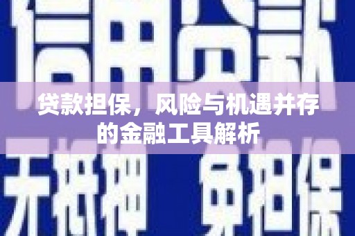 武邑贷款担保，风险与机遇并存的金融工具解析