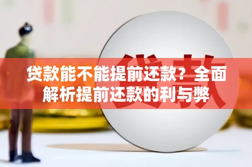 武邑贷款能不能提前还款？全面解析提前还款的利与弊