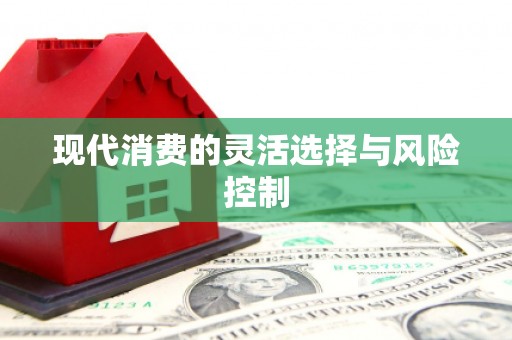 武邑现代消费的灵活选择与风险控制
