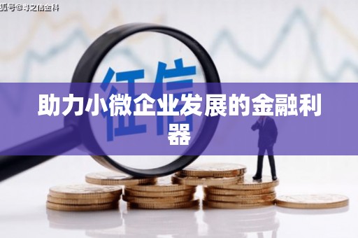 武邑助力小微企业发展的金融利器
