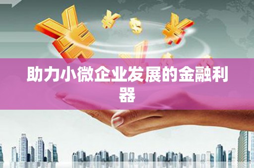 武邑助力小微企业发展的金融利器