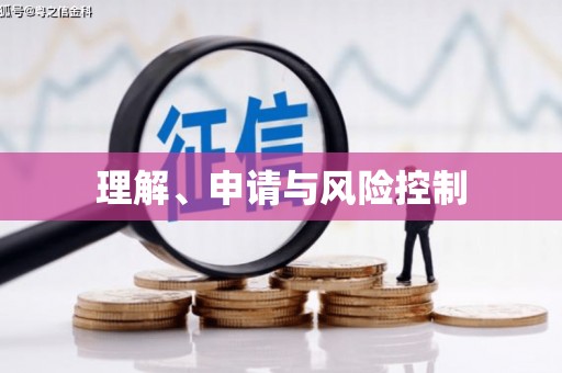 武邑理解、申请与风险控制