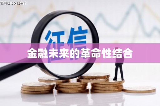 武邑金融未来的革命性结合