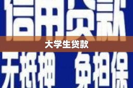 武邑大学生贷款