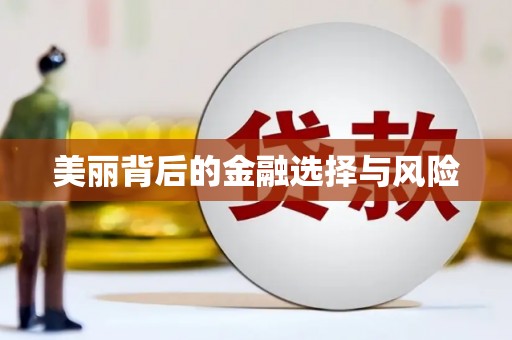 武邑美丽背后的金融选择与风险