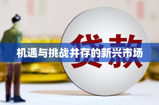 武邑机遇与挑战并存的新兴市场