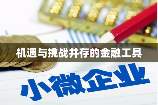 武邑机遇与挑战并存的金融工具