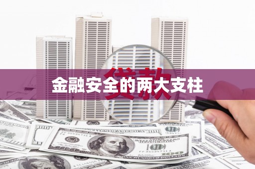 武邑金融安全的两大支柱